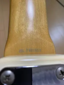 ELECTRIC BASS SERIAL