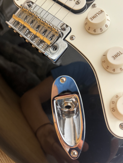 PLAYER STRATOCASTER 6-STRING