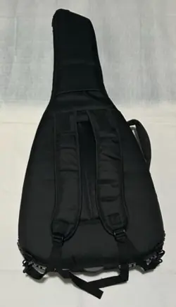 FENDER TELECOUSTIC DELUXE