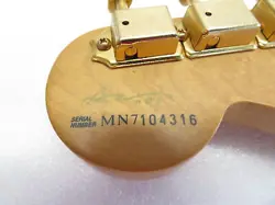 STRATOCASTER CUSTOM STRING