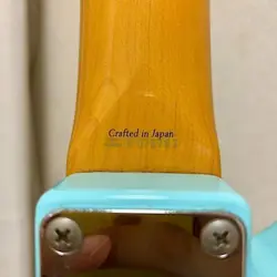 SIGNATURE JAG-STANG SAFE