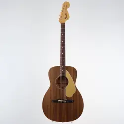 NEWPORTER 1969 ACOUSTIC
