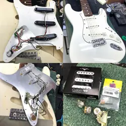 TORTOISESHELL MOD VWH