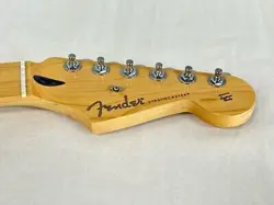 GUITAR NECK ONLY