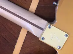 FENDER PLAYER TELECASTER MAPLE FINGERBOARD ELECTRIC GUITAR BUTTERSCOTCH BLONDE