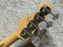FENDER MAID IN