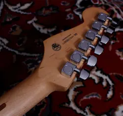 /PLAYER STRATOCASTER HSS