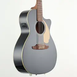 FENDER VILLAGER-12 V3