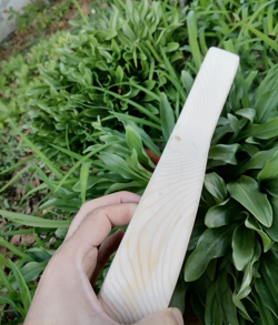 BODY STRAT STRATOCASTER