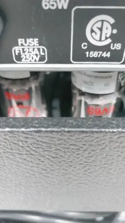 FENDER BLACKFACE PRINCETON