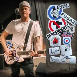 DELONGE GUITAR STICKERS