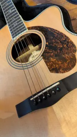 PM-3 DELUXE ACOUSTIC