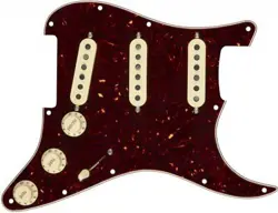 PRE-WIRED PICKGUARD FOR