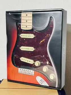 STRAT PG CUSTOM
