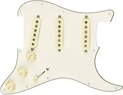 SSS WIRED PICKGUARD