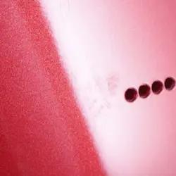 FENDER AMERICAN ULTRA II TELECASTER BODY ALDER SINISTER RED FINISH