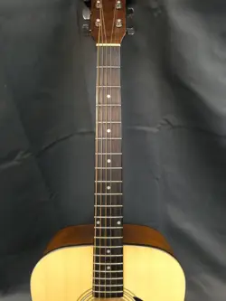 FENDER DG-9