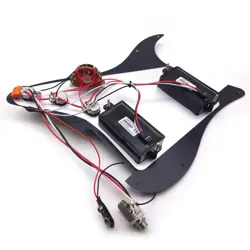 PICKGUARD WITH ACTIVE