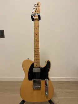 FUJIGEN JAPAN #PA7I66