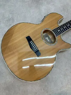 NOT POSSIBLE..FENDER PW-1