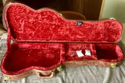 STRATOCASTER/TELECASTER POODLE GUITAR