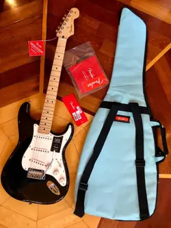 FENDER CASE PPWK