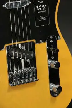 TELECASTER MAPLE CHAMBERED