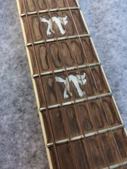 ACOUSTIC ELECTRIC FISHMAN