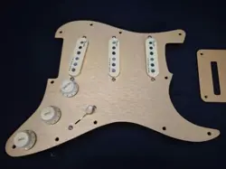 LOADED PICKGUARD BRUSHED
