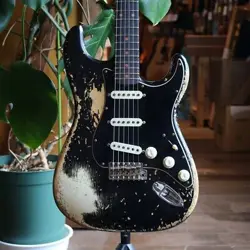 LIMITED EDITION POBLANO