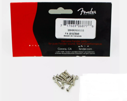 PICKGUARD MOUNTING SCREW