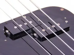 WHITE ROSEWOOD ALDER