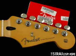 MODERN SHAPED MAPLE.