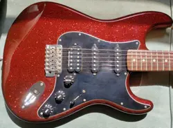 WITH HARDSHELL CASE!