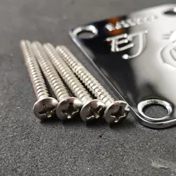 JOHNSON STRATOCASTER