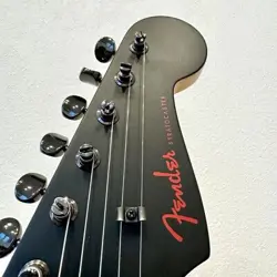 ANNIVERSARY MODEL WITH