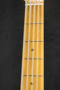 FENDER AMERICAN PROFESSIONAL II JAZZ BASS V ROASTED PINE MAPLE FINGERBOARD