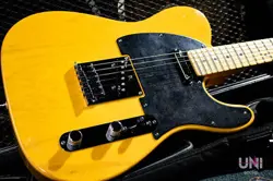 FENDER AMERICAN DELUXE TELECASTER ASH BUTTERSCOTCH BLONDE 2012 (2012)