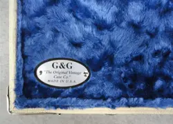 STRATOCASTER/TELECASTER CASE BLOND