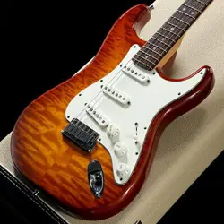 FENDER CUSTOM SHOP / DELUXE STRATOCASTER