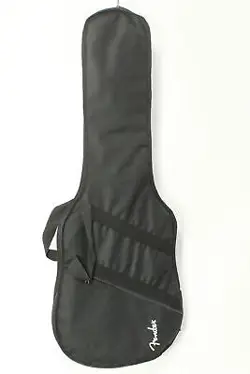 STRATOCASTER HSS LAKE