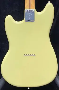 YELLOW MAPLE MX24033196