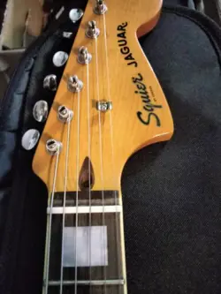 70'S JAGUAR ELECTRIC