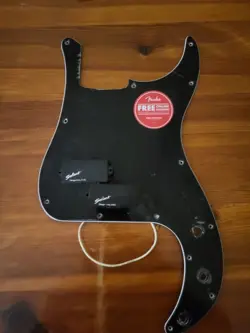 PICKGUARD AND EMG