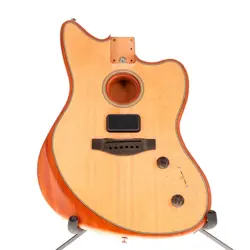 AMERICAN ACOUSTASONIC BODY