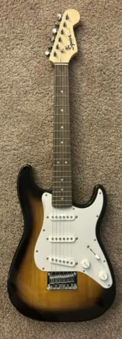 WHITE PICKGUARD BROWN