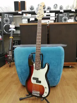 PRO BASS 5-STRING