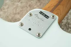 -SONIC BLUE- ROASTED