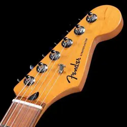 PAU FERRO SILVERBURST