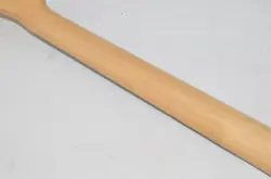 TELECASTER SERIAL FUJIGEN